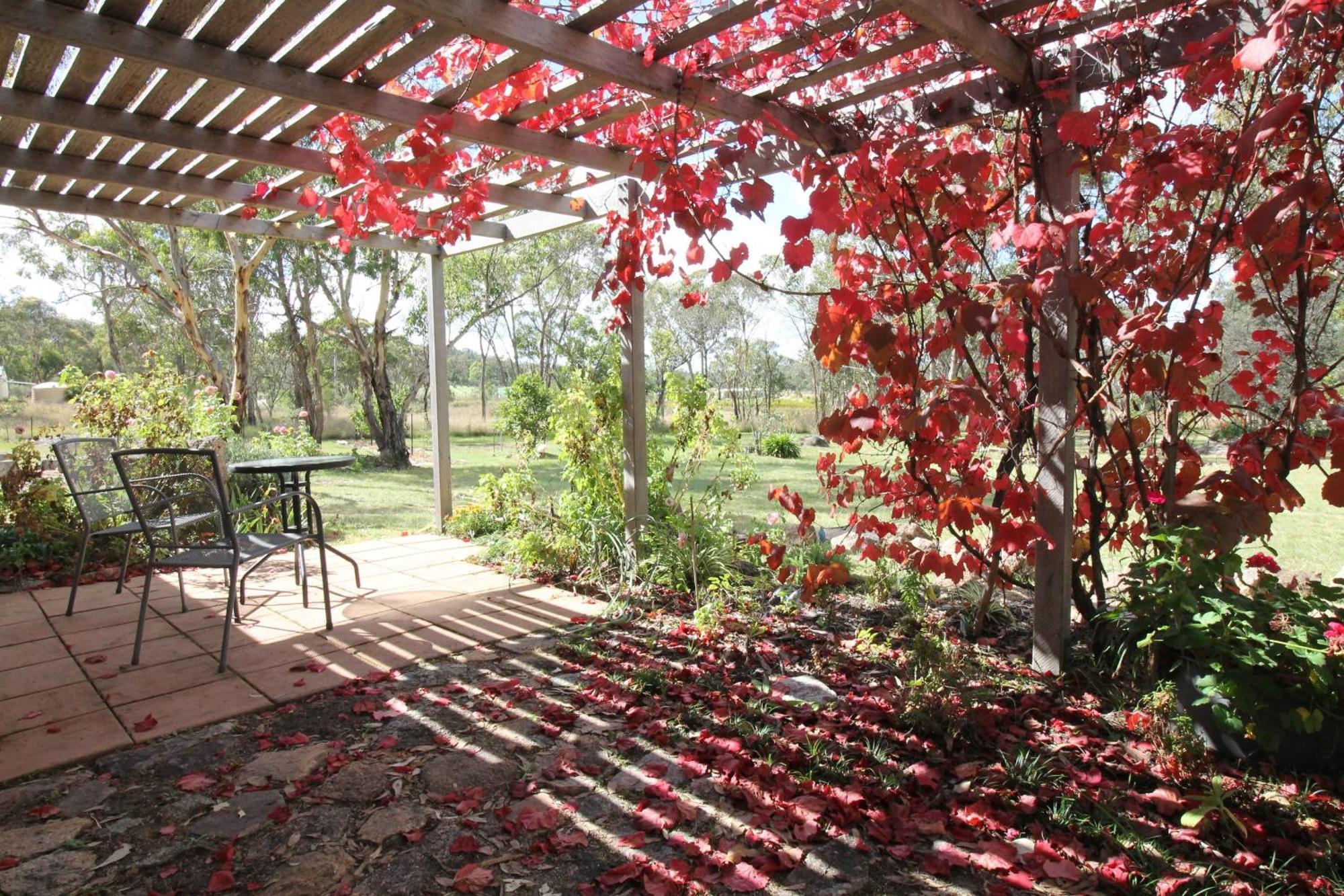 Severn River Cottages Severnlea Extérieur photo